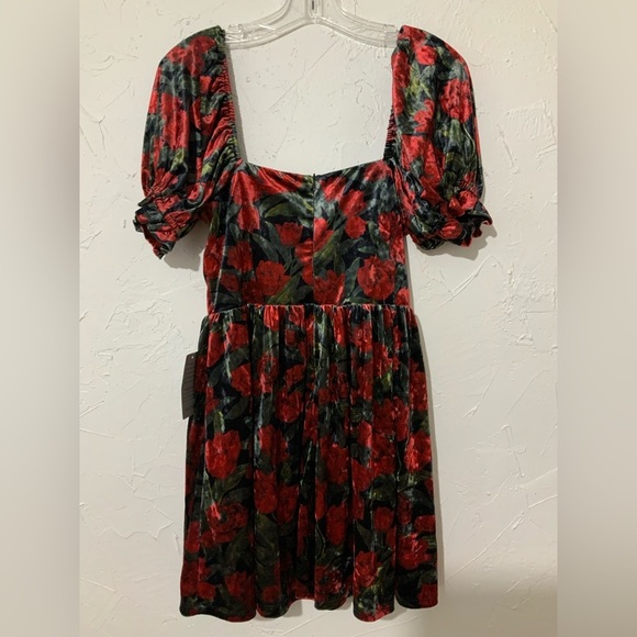 Petal & Pup Anders Floral Burnout Velvet Minidress Black Red Sz Small - Picture 11 of 14